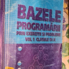 Radu Visinescu Bazele programarii