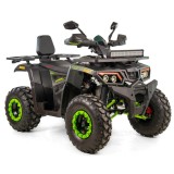 ATV Asix Ranger 250cc, roti 10 inch,1+1 viteze, jante tabla, culoare negru/verde Cod Produs: MX_NEW A6-RAN250101-17
