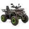 ATV Asix Ranger 250cc, roti 10 inch,1+1 viteze, jante tabla, culoare negru/verde Cod Produs: MX_NEW A6-RAN250101-17