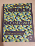 Mark Granovetter - Societate si economie