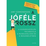 A j&oacute;f&eacute;le rossz &ndash; A kudarckezel&eacute;s technik&aacute;ja a munkahelyen &eacute;s a mag&aacute;n&eacute;letben - Amy Edmondson