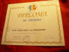 Diploma Memru Asociatia Spitalelor Romania 1995 - Resita