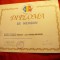 Diploma Memru Asociatia Spitalelor Romania 1995 - Resita