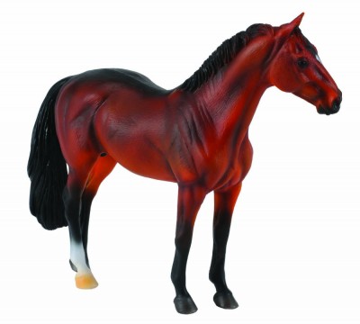 Armasar Hanoverian - Collecta foto