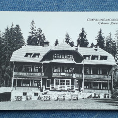 423 - Campulung-Moldovenesc, cabana Deia / carte postala RPR necirculata