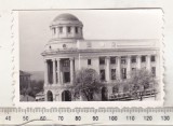 Foto Iasi: Biblioteca Centrala Universitara, Anii &#039;70 - Colectie Fotografie BNK - Istorie &amp; Arhitectura