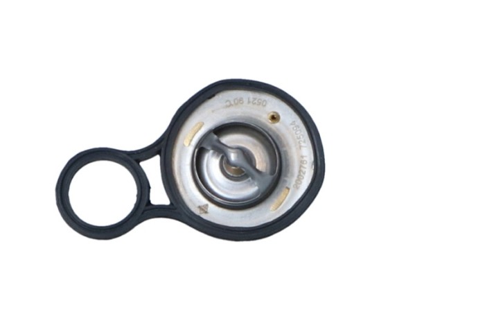 NRF 725094 EASY FIT termostat,lichid racire