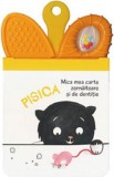Pisica. Mica mea carte zornaitoare si de dentitie