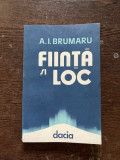 A. I. Brumaru - Fiinta si loc