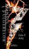 Dansul fulgerelor - Datagroup