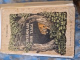 &Icirc;nt&acirc;mplări din taiga vintage