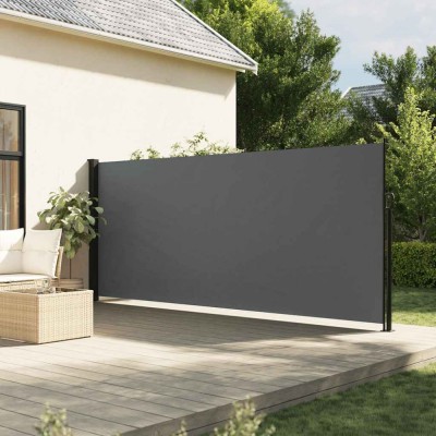 vidaXL Copertină laterală retractabilă antracit 160x300 cm 4004323 foto