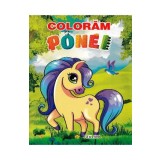 Coloram ponei