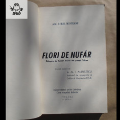 A Munteanu Florin de nufar - culegere de folclor literar din jud Tulcea