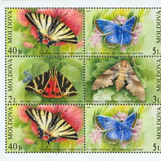 MOLDOVA 2003, Fauna, Fluturi, serie neuzata, MNH