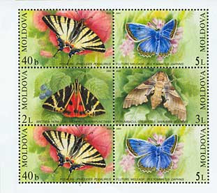 MOLDOVA 2003, Fauna, Fluturi, serie neuzata, MNH foto