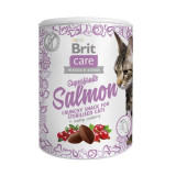 Cumpara ieftin Brit Care Cat Snack Superfruits Salmon, 100 g