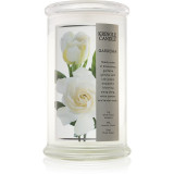 Kringle Candle Gardenia lum&acirc;nare parfumată 624 g