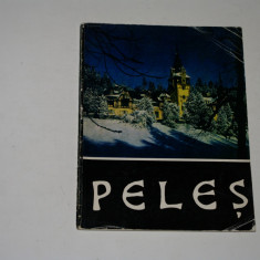 Muzeul Peles - 1969