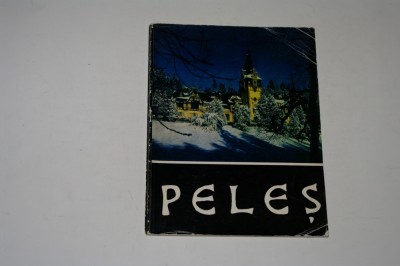 Muzeul Peles - 1969 foto