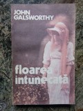 John Galsworthy - Floarea Intunecata