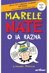 Marele Nate Vol.5: Nate o ia razna, Grupul Art