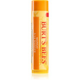 Burt&rsquo;s Bees Lip Care balsam de buze nutritiv (with Mango Butter) 4,25 g