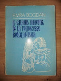 Le grand amour de la Princesse Rouxandra- Elvira Bogdan