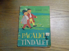 PACALICI si TINDALET - N. Labis - ANGI PETRESCU-TIPARESCU (ilustratii) - 1962 foto