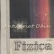 Fizica. Manual Pentru Anul II Licee - L. Panaiotu, A. Baltac