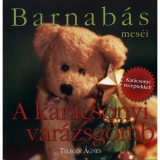 Barnab&aacute;s mes&eacute;i - A kar&aacute;csonyi var&aacute;zsg&ouml;mb - Telegdi &Aacute;gnes