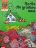 Florile din gradina mea (74) - Elena Selaru