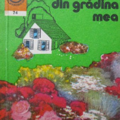 Florile din gradina mea (74) - Elena Selaru