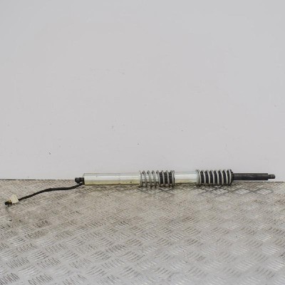 Amortizor haion dreapta BMW 5 Touring F11 2013 2868006 foto
