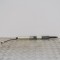 Amortizor haion dreapta BMW 5 Touring F11 2013 2868006