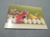 CARTE POSTALA - FELICITARE PASTI CIRCULATA, Printata