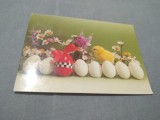 CARTE POSTALA - FELICITARE PASTI CIRCULATA, Printata
