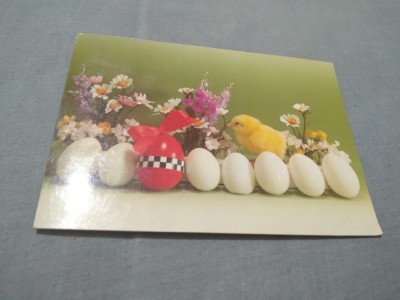 CARTE POSTALA - FELICITARE PASTI CIRCULATA foto