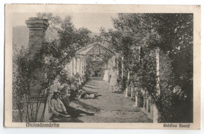 1927 - Tarnaveni, gradina Rakoczi (jud. Mures) foto