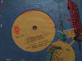 Disc vinil muzica populara Rodion Hodovanschi/Victor Bunea