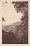 Brasov Kronstadt Brasso carte postala circulata ND(1920)
