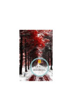 Dezghetul Paperback A.D. Miller Noua Rusie Coruptie Hedonism Avocat