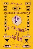 Cronicile Domnișoarei Poim&acirc;ine II: &Icirc;n căutarea lui Akum, Arthur