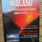 VULCANII EDITURA ARC