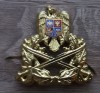 QW14 - Emblema militara / cuc - Uscat - piesa de colectie