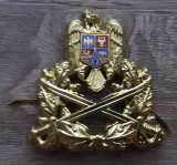 QW14 - Emblema militara / cuc - Uscat - piesa de colectie