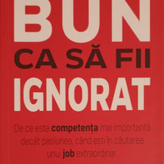 PREA BUN CA SA FII IGNORAT. DE CE ESTE COMPETENTA MAI IMPORTANTA DECAT PASIUNEA, CAND ESTI IN CAUTAREA UNUI JOB