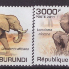 126-BURUNDI -FAUNA-Elefenti-Serie de 4 timbre nestampilate MNH