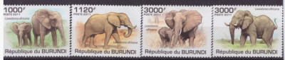 126-BURUNDI -FAUNA-Elefenti-Serie de 4 timbre nestampilate MNH foto