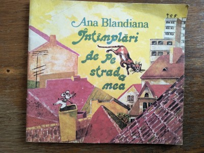Intamplari de pe strada mea - Ana Blandiana / R8P2S foto
